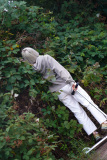 Picking Berries